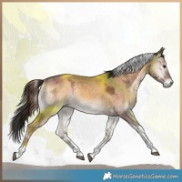 Horse Color:Liver Red Dun Ice Onyx Tobiano Brindle 