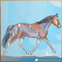 Horse Color:Watercolor Plaid Liver Red Onyx Ice Tobiano Brindle