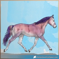 Horse Color:Watercolor Plaid  Liver Red Dun Ice Onyx Tobiano 