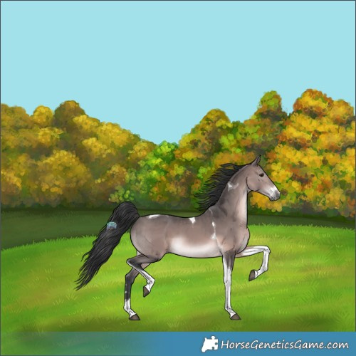 Horse Color:Platinum Brown Tobiano 