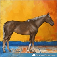 Horse Color:Chocolate Palomino Mushroom Tobiano Rabicano