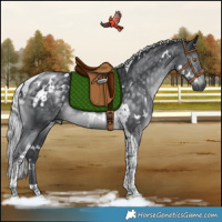 Horse Color:White Spotted Silver Black Chinchilla Tobiano 