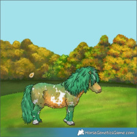 Horse Color:Watercolor White Spotted Bay 