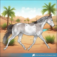 Horse Color:Platinum White Spotted Liver Red Dun Splash Tobiano 