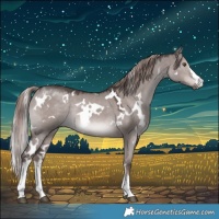 Horse Color:Platinum White Spotted Liver Red Dun 