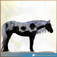 Horse Color:Void Watercolor White Spotted Chocolate Palomino Dun Splash 
