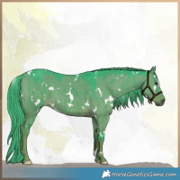 Horse Color:Watercolor White Spotted Liver Red Dun Brindle 