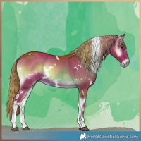 Horse Color:Watercolor White Spotted Liver Red Onyx 