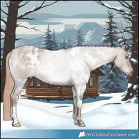 Horse Color:White Spotted Liver Red Dun Roan Rabicano 