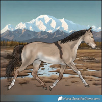 Horse Color:Liver Red Dun Tobiano Rabicano