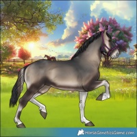Horse Color:Blue Onyx
