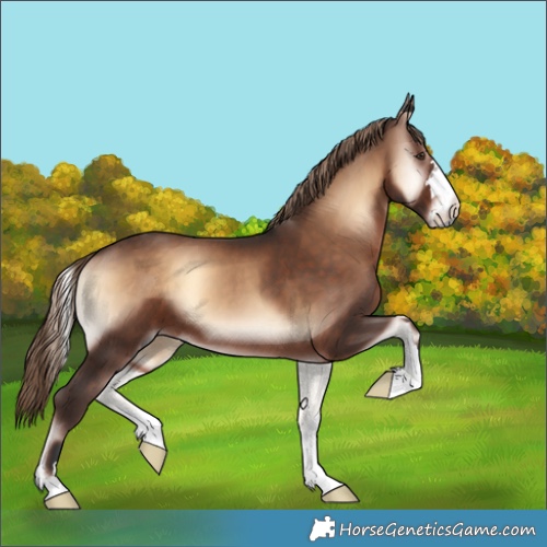 Horse Color:Liver Red Onyx 