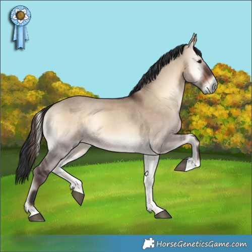 Horse Color:Brown Onyx 