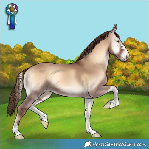 Horse Color:Red Dun Onyx 