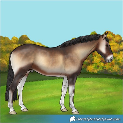 Horse Color:Brown Onyx 