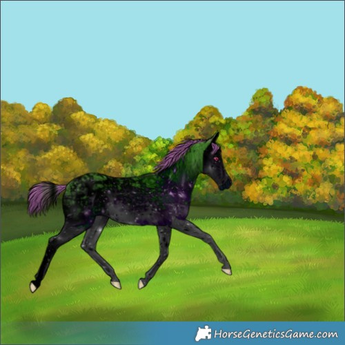 Horse Color:ERROR: UNKNOWN ANOMALY