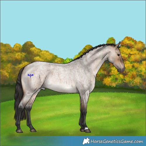 Horse Color:Brown Roan Dun 