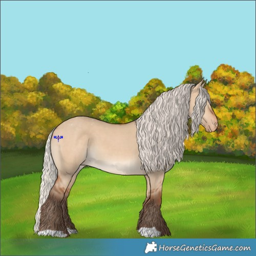Horse Color:Silver Bay Dun Varnish 