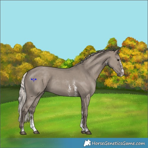 Horse Color:Silver Grullo Sabino 