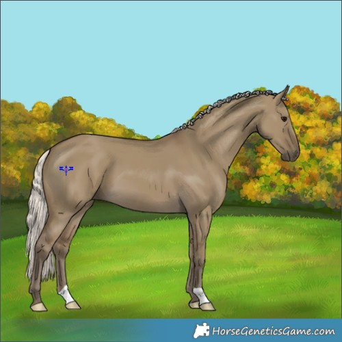 Horse Color:Silver Smoky Grullo 