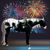 Horse Color:Plaid  White Spotted Liver Red Dun Ice Roan Splash 