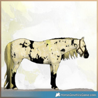 Horse Color:Void Watercolor Plaid  White Spotted Liver Red Dun Ice 