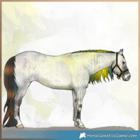 Horse Color:Plaid  Liver Red Dun Roan Onyx Rabicano Brindle 