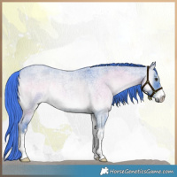 Horse Color:Watercolor White Spotted Liver Red Dun Roan Onyx Brindle 