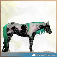 Horse Color:Void Watercolor Plaid  White Spotted Liver Red Dun Onyx Splash Tobiano 