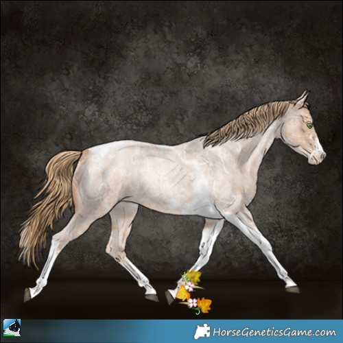 Horse Color:Red Ice Roan Pearl Splash Tobiano Frame 