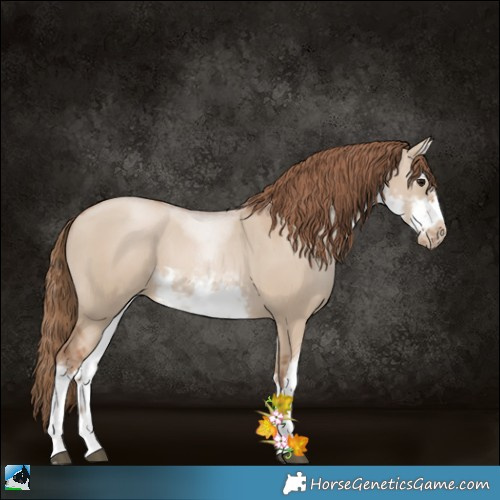 Horse Color:White Spotted Grullo Pearl Splash Frame