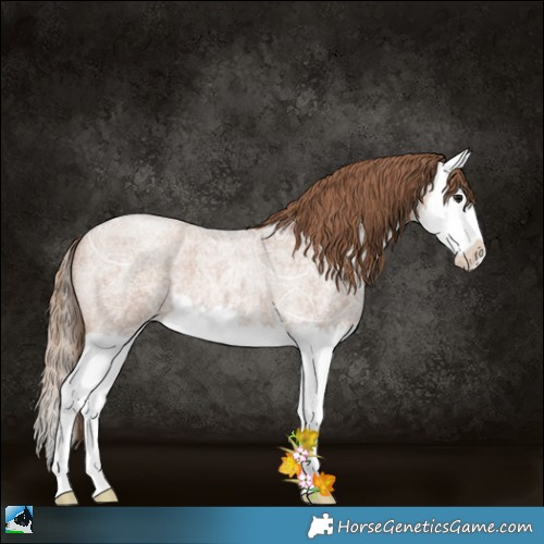 Horse Color:White Spotted Blue Ice Roan Pearl Splash