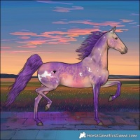 Horse Color:Watercolor White Spotted Buckskin 