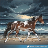 Horse Color:White Spotted Liver Chestnut Tobiano 