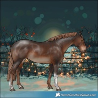 Horse Color:Liver Chestnut Tobiano 