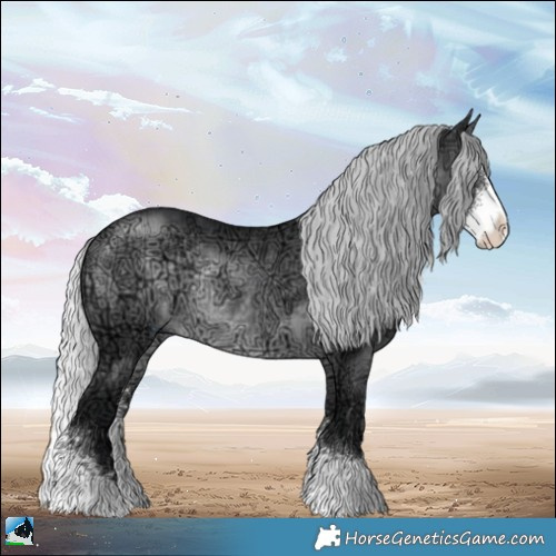Horse Color:Silver Brown Chinchilla Ice Sabino Rabicano
