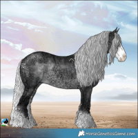 Horse Color:Silver Brown Chinchilla Ice Sabino Rabicano 