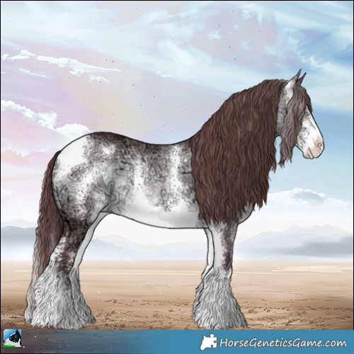 Horse Color:Chocolate Brown Chinchilla Ice Sabino Rabicano 