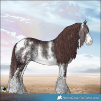 Horse Color:Chocolate Brown Chinchilla Ice Sabino Rabicano 