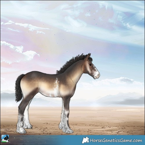 Horse Color:Brown Onyx Sabino 