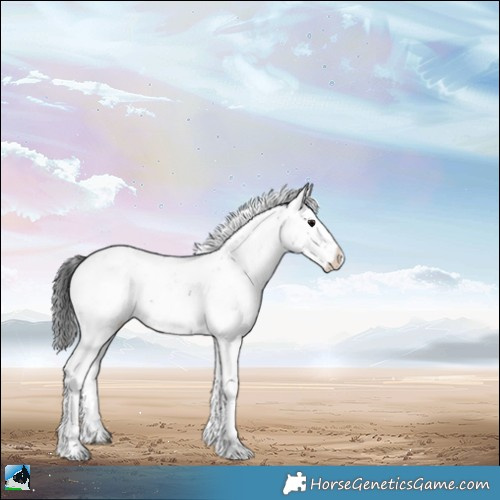 Horse Color:Brown Ice Sabino Blanket 