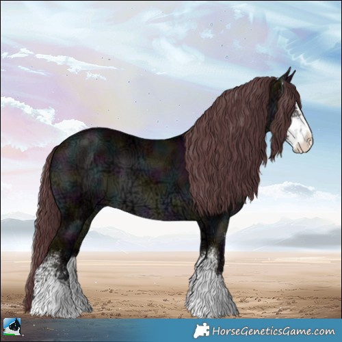 Horse Color:Midnight Chocolate Brown Chinchilla Ice Sabino