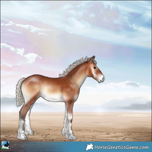Horse Color:Silver Brown Onyx 