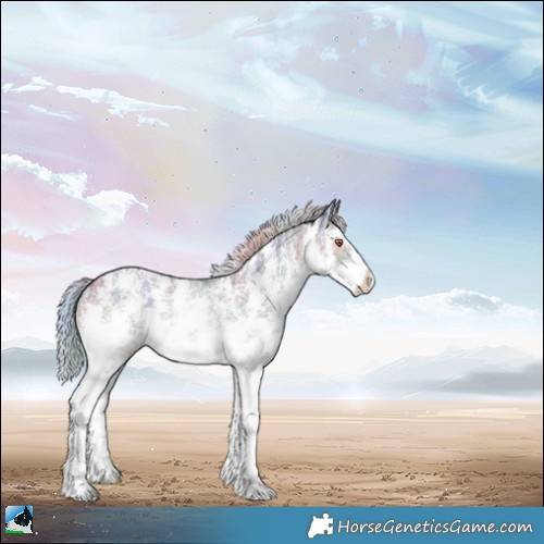 Horse Color:Nacre Silver Black Chinchilla Sabino Rabicano 