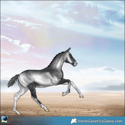 Horse Color:Brown Chinchilla Onyx 