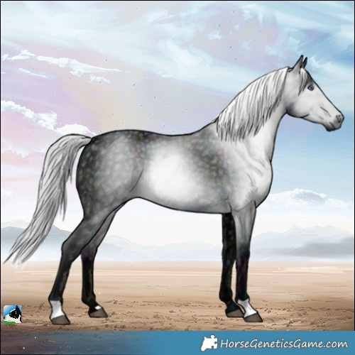 Horse Color:Gray Midnight Silver Brown Chinchilla Ice
