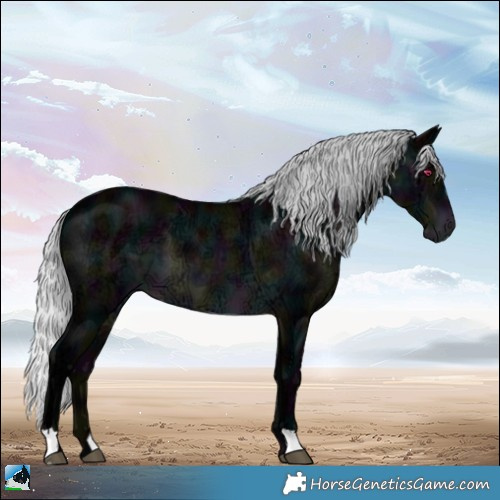 Horse Color:Gray Midnight Silver Brown Chinchilla Ice 