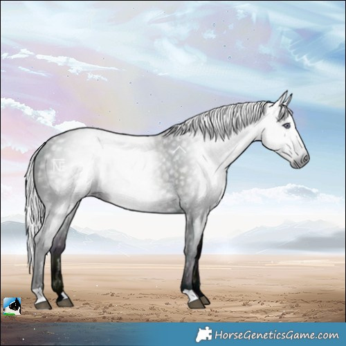 Horse Color:Gray Midnight Silver Brown Chinchilla Ice 