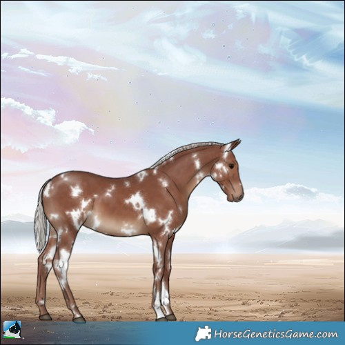 Horse Color:White Spotted Chocolate Silver Black 