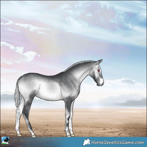 Horse Color:Silver Brown Chinchilla Onyx Rabicano 